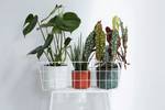 b.for soft rond 16cm blad groen